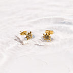 North Star Crystal Studs
