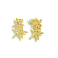 Hidden in the Sand Earrings - EVRYJEWELS