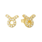 Stargazing Earrings - EVRYJEWELS